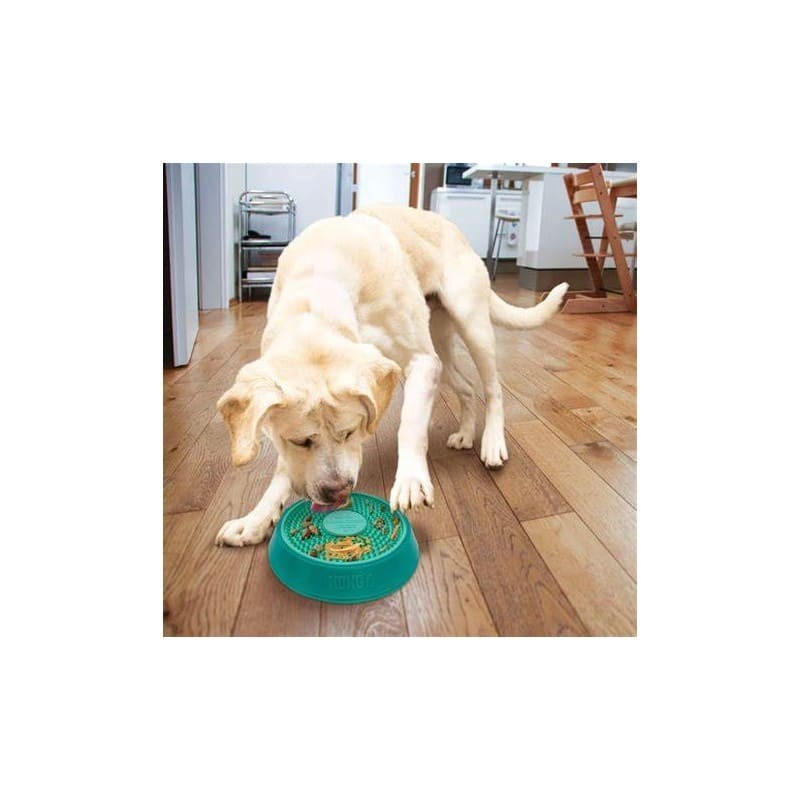 chien qui joue à l'interieur avec le Jouet à lécher pour chien licks spinz kong