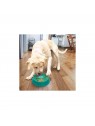 chien qui joue à l'interieur avec le Jouet à lécher pour chien licks spinz kong