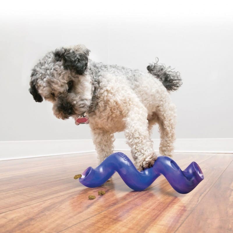 chien qui joue avec le Distributeur de friandises pour Chien Treat Spiral KONG