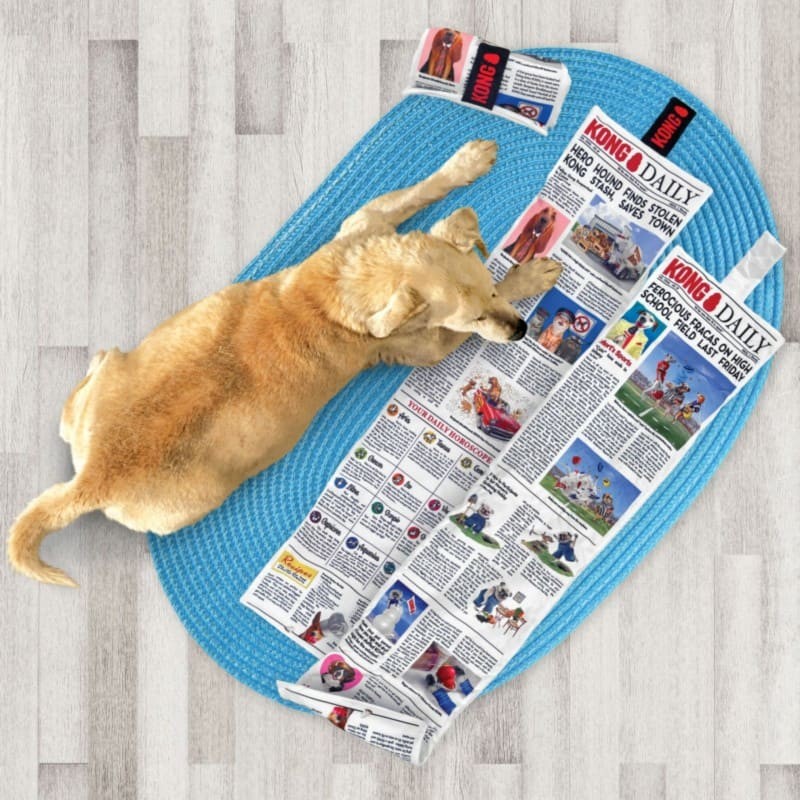 chien allongé sur un tapis avec le Jouet pour chien daily newspaper XL KONG