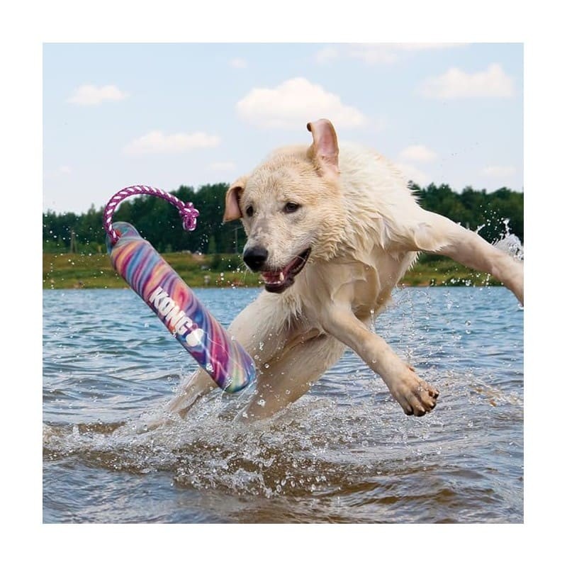 Chien qui saute dans l'eau pour attraper le jouet pour chien flottant wild shield trainning dummy swirl KONG