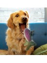 chien assis sur un canapé qui attrape dans sa gueule le jouet flottant chien wild schieldz trout med  KONG