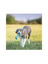 chiot jouant avec le jouet pour chiot Goody bone puppy kong