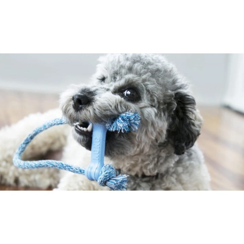 chiot qui joue avec le  jouet pour chiot Goody bone avec corde kong bleu
