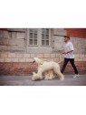 homme promenant son chien avec le distributeur de sacs à crottes en cuir cuivre métallisé MARTIN SELLIER