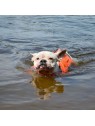 chien dans l'eau avec le gilet de sauvetage pour chien arka martin sellier