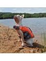 chien sur la plage avec le gilet de sauvetage pour chien arka martin sellier