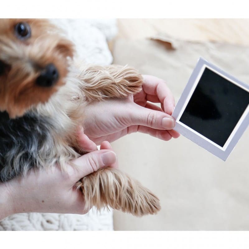 prendre l'empreinte encre de son chien pour le double cadre photo chien avec empreinte de patte en encre Pearhead