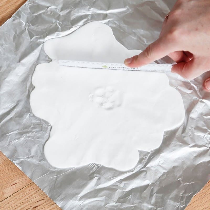 argile pour prendre l'empreinte de son chien pour le double cadre chien blanc photo avec empreinte de patte en plâtre Pearhead