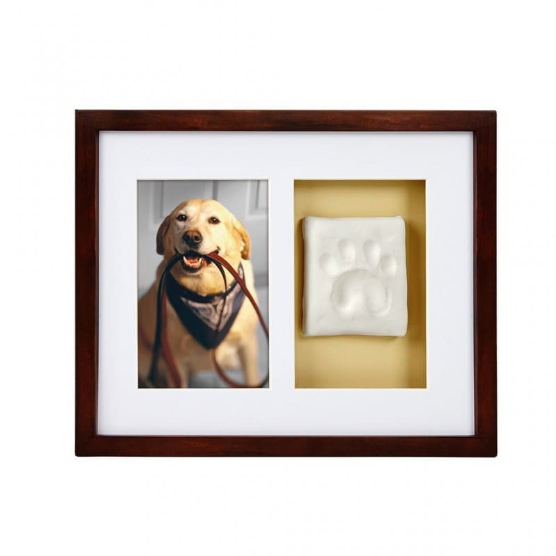 cadre mural chien photo avec empreinte de patte en plâtre Pearhead