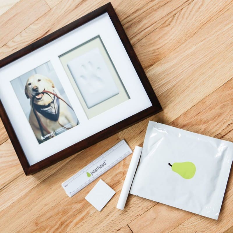 accessoires du cadre mural chien photo avec empreinte de patte en plâtre Pearhead