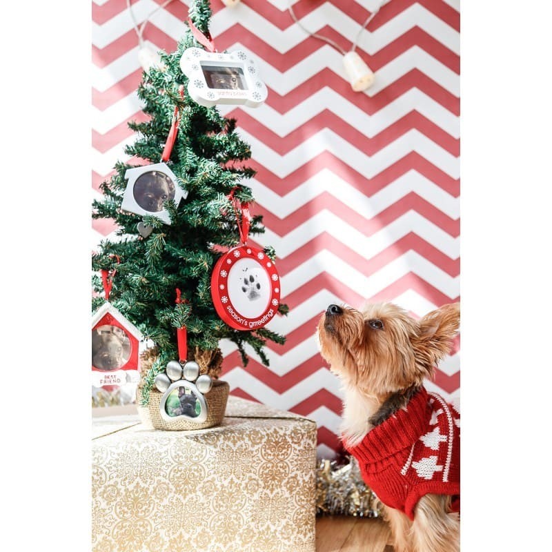 chien qui regarde la suspension de noël chien empreinte de patte encre et photo pearhead accrochée au sapin