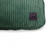 master pour chat vert collection royale martin sellier en velours à fines rayures avec logo de la marque