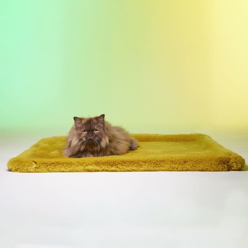 chat allongé sur le Tapis pour chat new york le tapis rouge paris