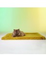 chat allongé sur le Tapis pour chat new york le tapis rouge paris
