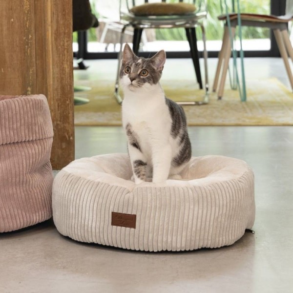 chat sur le coussin pour chat velours cotelé gris crème designed by lotte