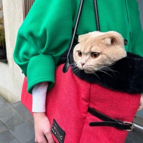 chat dans le sac de transport pour chat rouge chic collection mystic dream