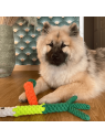 chien allongé avec les jouets pour chien en corde carotte et poireau MARTIN SELLIER