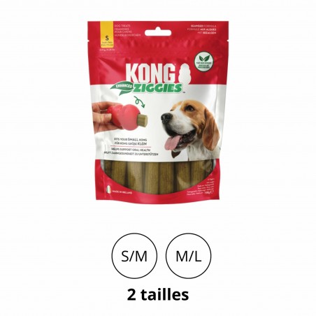 friandises pour chien ziggies enhanced KONG dans emballage disponibles en 2 tailles