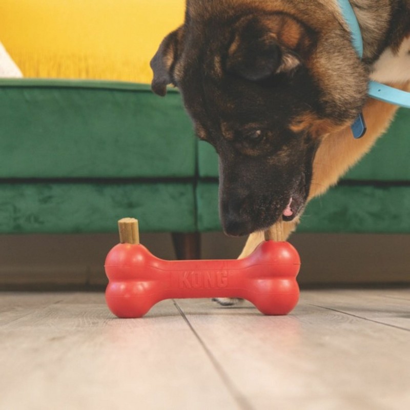 Chien qui joue avec un jouet KONG contenant une friandise pour chien Ziggies Enhanced KONG