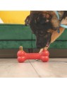 Chien qui joue avec un jouet KONG contenant une friandise pour chien Ziggies Enhanced KONG