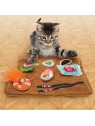 chat qui jouet avec le jouet pour chat pull a partz sushi KONG posé au sol