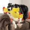 chien avec la peluche pour chien scruffs chicken KONG dans la gueule