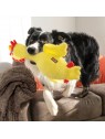 chien avec la peluche pour chien scruffs chicken KONG dans la gueule