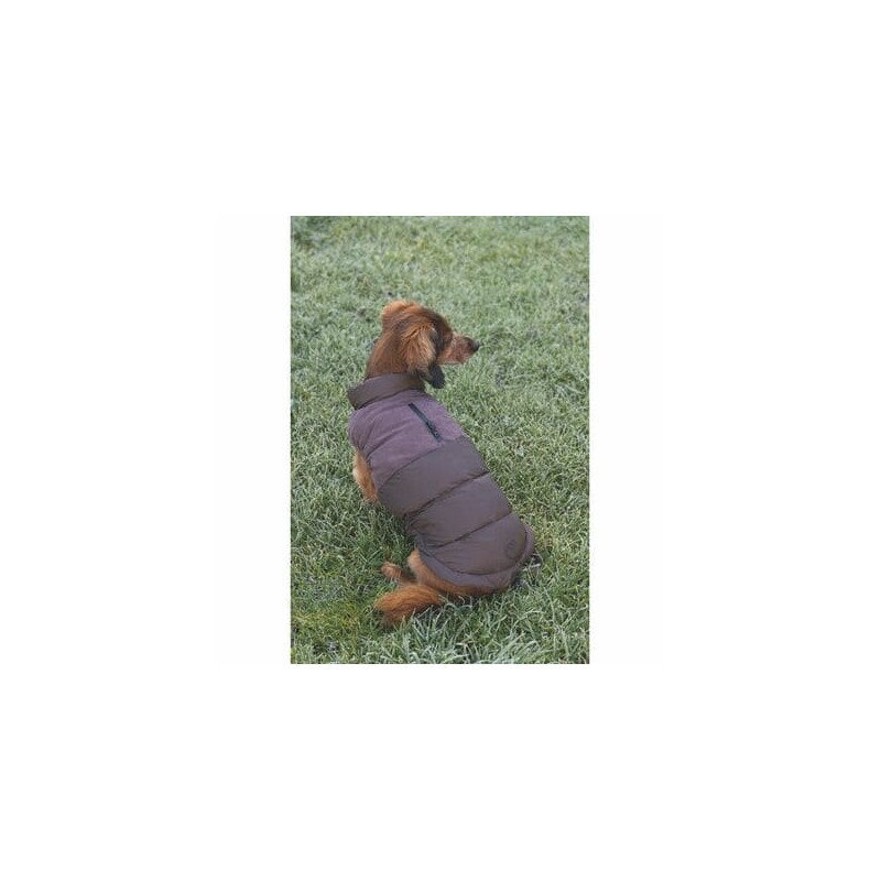chien de dos assis dans l'herbe avec le manteau brun Wisti Beeztees