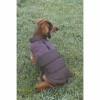chien de dos assis dans l'herbe avec le manteau brun Wisti Beeztees