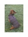 chien de dos assis dans l'herbe avec le manteau brun Wisti Beeztees