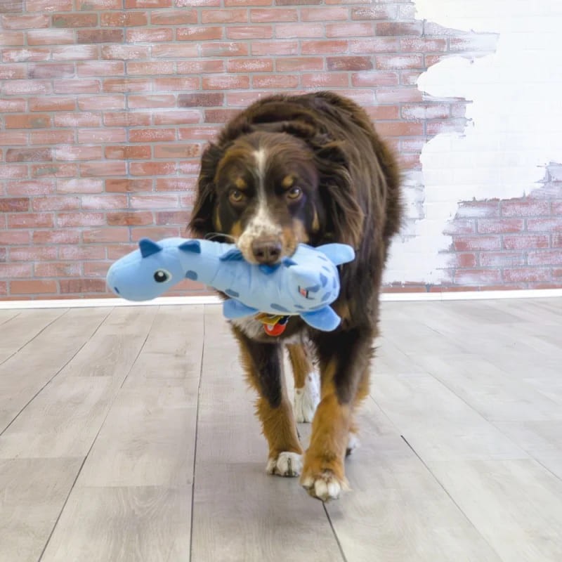 chien avec le jouet pour chien Dynos Roars KONG dans la gueule