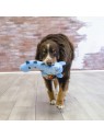 chien avec le jouet pour chien Dynos Roars KONG dans la gueule