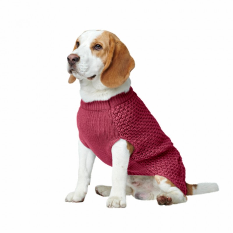 chien de profil portant le pull pour chien bordeaux MALMO HUNTER