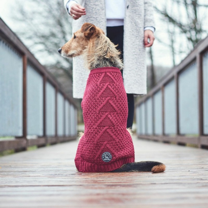 chien assis de dos avec le pull pour chien bordeaux MALMO HUNTER