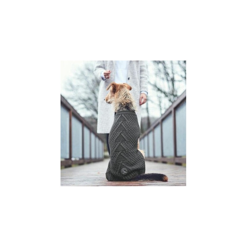 Chien assis de dos avec le pull pour chien gris MALMO HUNTER