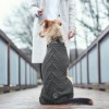 Chien assis de dos avec le pull pour chien gris MALMO HUNTER