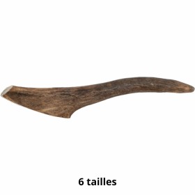 friandise pour chien bois de cerf Doogy disponible en 6 tailles