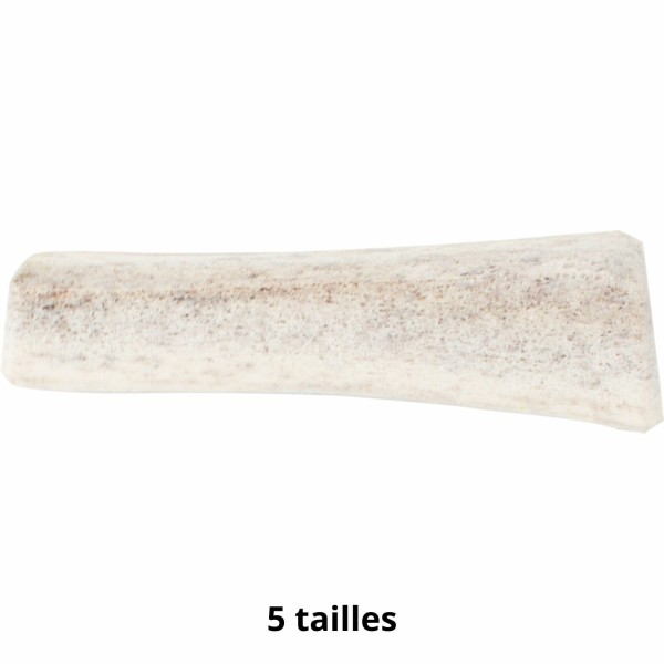 friandise pour chien bois de cerf fendu Doogy disponible en plusieurs tailles