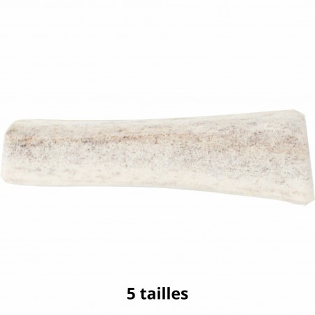 friandise pour chien bois de cerf fendu Doogy disponible en plusieurs tailles