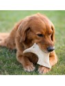 chien qui mastique une friandise pour chien bois de daim Doogy