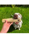 chien qui prend dans la gueule une friandise pour chien bâton pour chien en bois de caféier MARTIN SELLIER