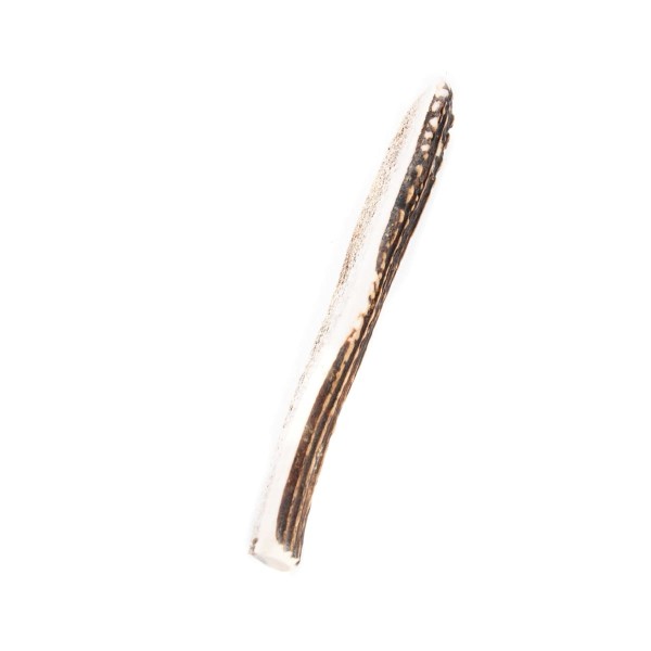 friandise pour chien bois de cerf en biseau MARTIN SELLIER vue de biais.