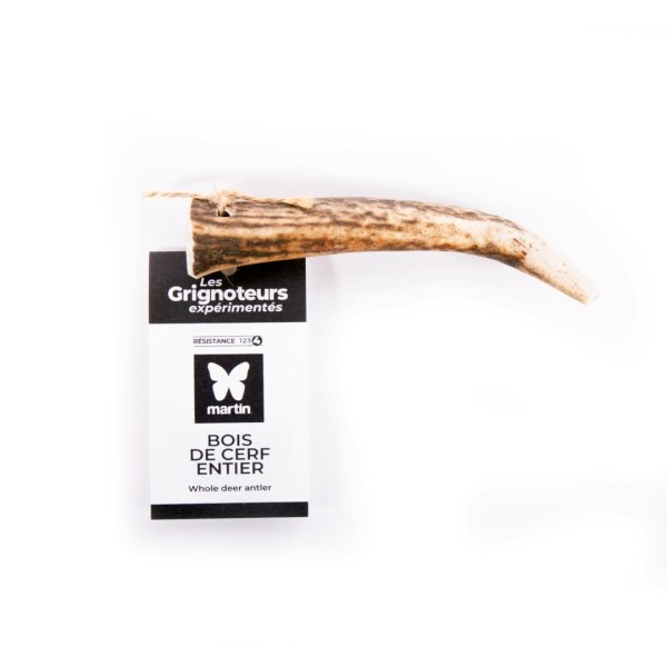 Friandise pour chien bois de cerf entier MARTIN SELLIER avec étiquette