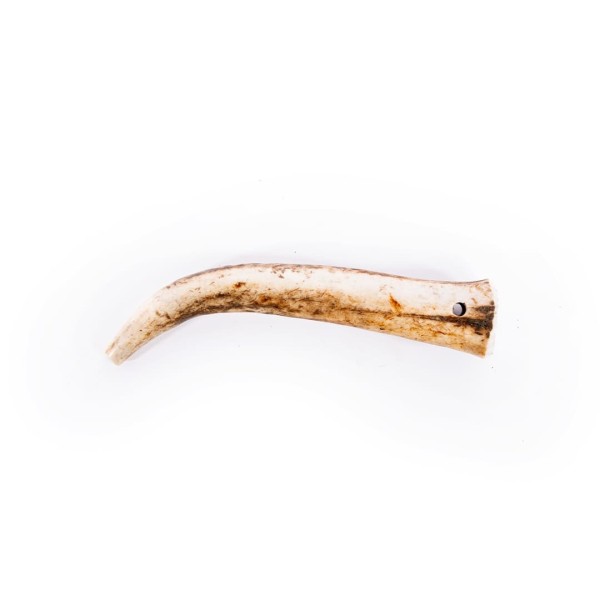 Friandise pour chien bois de cerf entier MARTIN SELLIER à l'horizontal