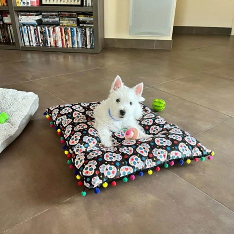 chien allongé sur le tapis pour chien dia de muertos Doogy