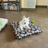 chien allongé sur le tapis pour chien dia de muertos Doogy