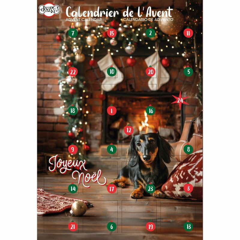 calendrier de l'avent pour chien Doogy