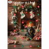 calendrier de l'avent pour chien Doogy