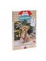 Calendrier de l'Avent pour chien Beeztees